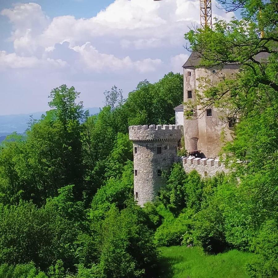 Burg Plankenstein Hotel Texing Exterior photo